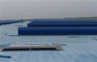 邢臺無動力風(fēng)機廠家 哈爾濱無動力風(fēng)機廠家