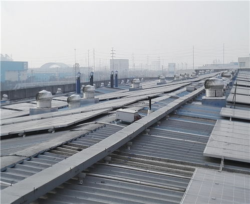 合肥市中道公司價(jià)格好 圖 無(wú)動(dòng)力風(fēng)機(jī)廠(chǎng) 蕪湖無(wú)動(dòng)力風(fēng)機(jī)