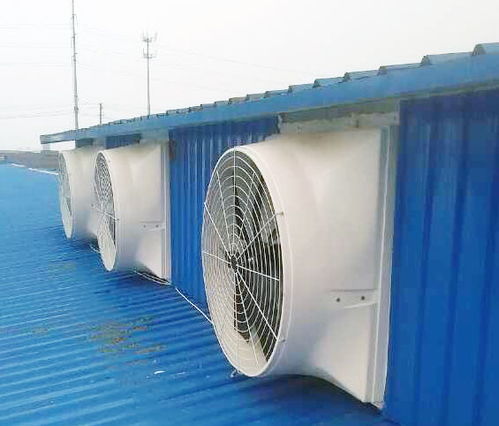 無動(dòng)力屋頂風(fēng)機(jī)報(bào)價(jià)與廠家選擇指南